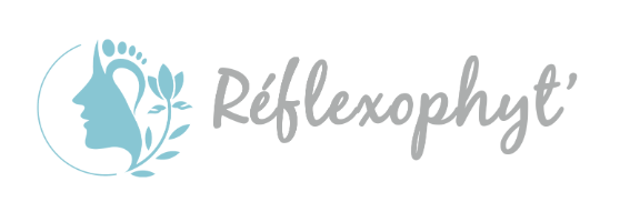 Réflexophyt